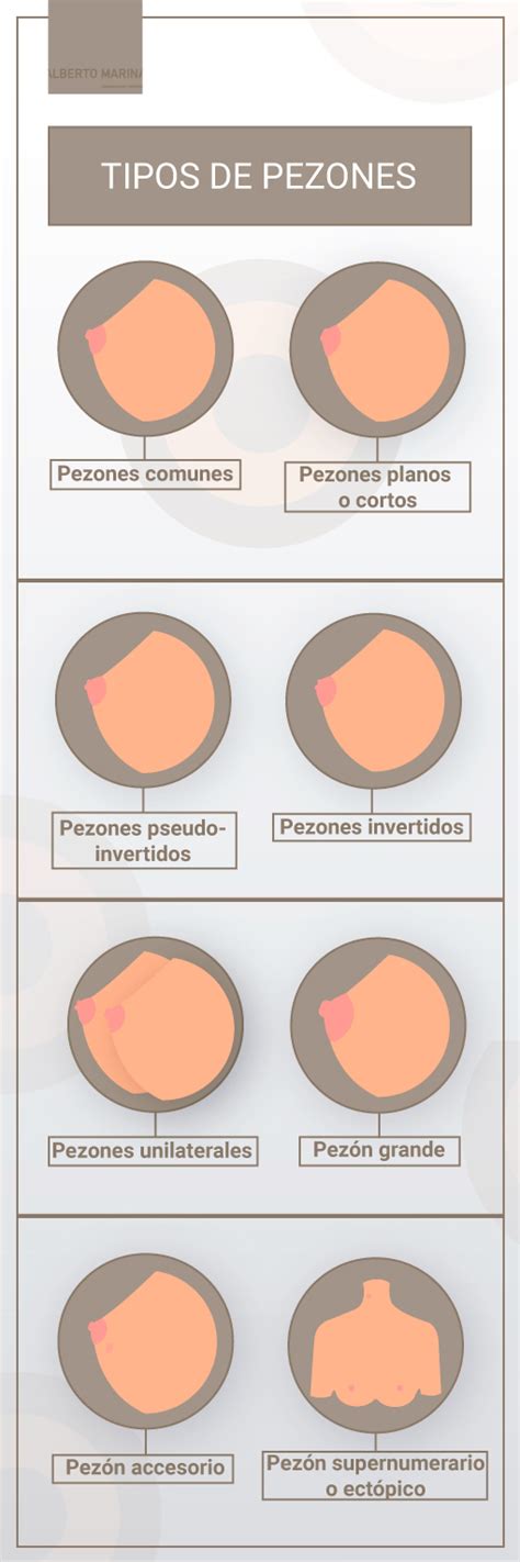 pesones grandes|Todo sobre los tipos de pezones: cuántos tipos existen, su forma。